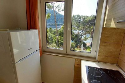 Apartments Vinko Mljet- One-Bedroom Apartment...