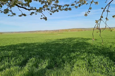 Ferienwohnung  "To Hus"