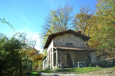 Geräumiges Ferienhaus mit privatem Pool