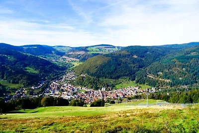 Dietsche Todtnau - Hasenhornblick