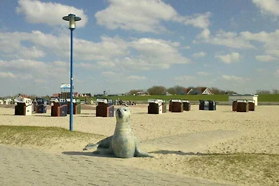 Deichtraum 50 m zum Strand Meer