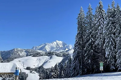 Ferienwohnung in der Nähe der Skipisten von...