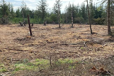 5 Personen Ferienhaus in Snedsted