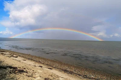 5 persone case ad Hejls-By Traum