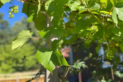 4 persoons vakantie huis in UDDEVALLA-By...