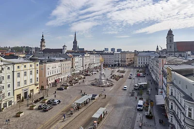 Appartements nicht weit von der Donau