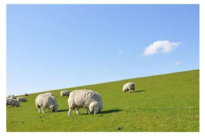 Vacanza da sogno sotto un tetto di paglia