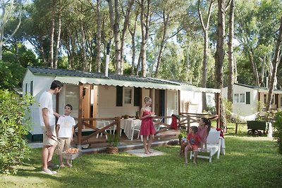 Vrijstaand chalet met airco in een natuurpark...