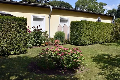 Appartement 3, Maison près de la forêt