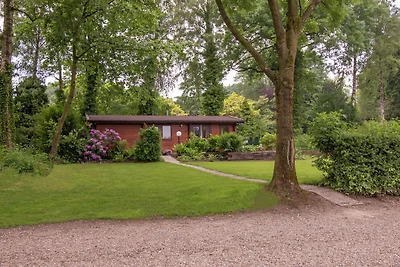Chalet accogliente con camino a gas a Twente