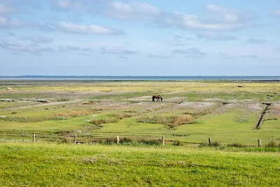 Ferienhaus in Juist mit Wifi und Cinema