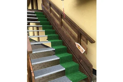 Darss vakantie met en zonder hond