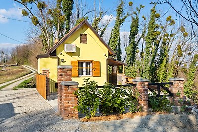 Rustic Holiday Home in Donja Stubica with...
