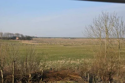 Land und Meer: Meer/OG