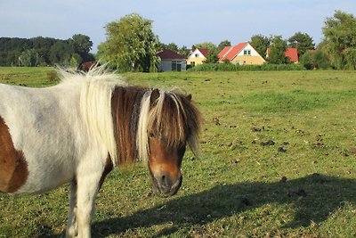 Holiday Home met steiger, 19 km. van Hoorn