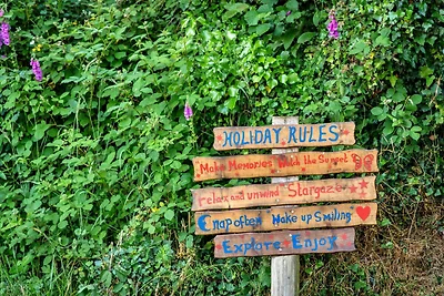 Milieuvriendelijk chalet in Okehampton, Geen...