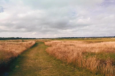 4 Personen Ferienhaus in Rømø-By Traum