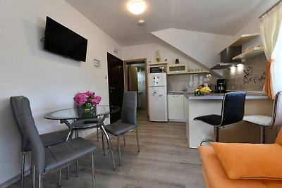 Prachtig appartement in Selište Drežnićko met...