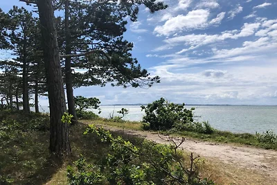 8 Personen Ferienhaus in Ebeltoft-By Traum