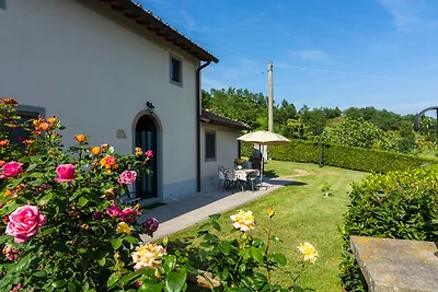 Garten (Sommer) Garten (Sommer)