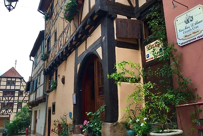 Appartamento d'epoca con terrazza a Riquewihr