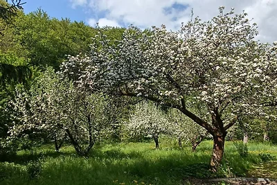 Kuća za odmor Dopust za oporavak Geratal