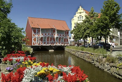 Apartment mit Terrasse in Ostseenהhe