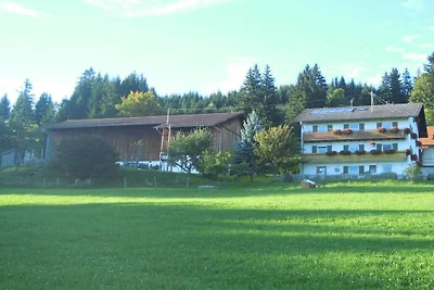 Bergblick - Bergbauernhof Echtler