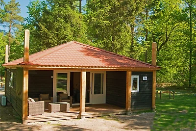 Bungalow con terrazza, non lontano da Assen