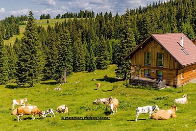 Almhütte in Weinebene mit Sauna