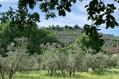 Spazioso appartamento con giardino privato