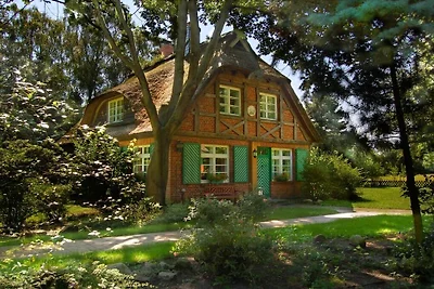 Ferienhaus in Essel mit Schwimmbecken