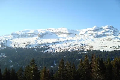 Wohnung im Skigebiet Le Grand Massif
