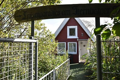 Ferienhaus mit Bootssteg in Sternberg