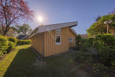 Ferienhaus mit Sauna im Ferienpark Mirow