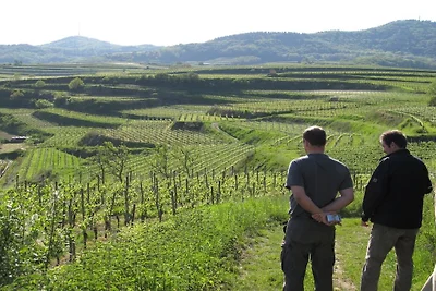 Im Weingut Frank Schmidt