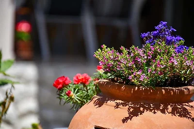 Apartments Jaklin - Studio Apartment with Bal...