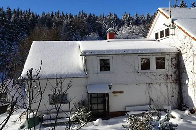 Ferienwohnung in Suhl mit Schwimmbecken