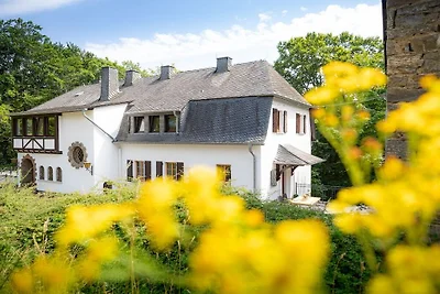 Villa in Mayen mit Schwimmbecken