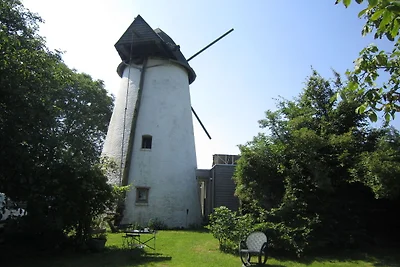 Ferienhaus in den flämischen Ardennen...