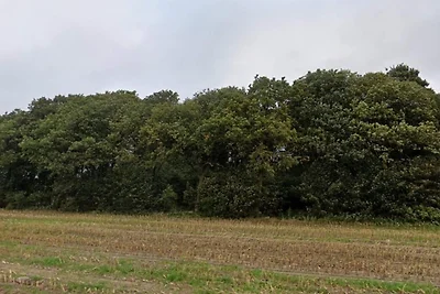 8 persoons vakantie huis in Hovborg-By Traum
