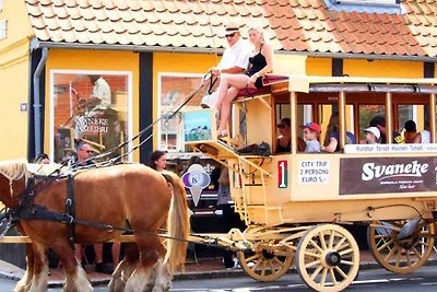 4 Personen Ferienhaus in Svaneke