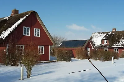 Vakantiehuis Ontspannende vakantie Süderende