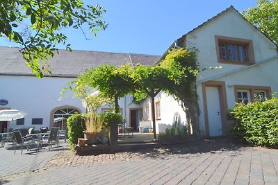 Gemütliche Wohnung mit Terrasse in Meisburg