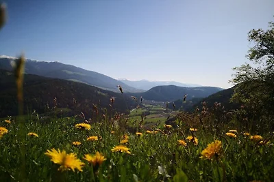 Oberplunerhof - apartament wakacyjny Bruneck