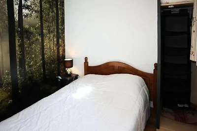 Herbstkrokusse Nr. C208