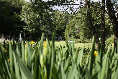4 Sterne Ferienhaus in Hovborg-By Traum