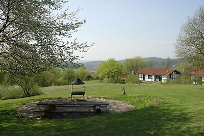 Houten bungalow met terras in bosrijke...