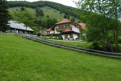 Appartamento a Brandenberg con terrazza