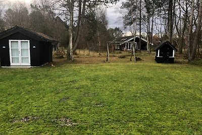 8 persoons vakantie huis in Ålbæk